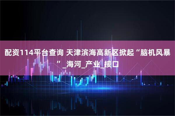 配资114平台查询 天津滨海高新区掀起“脑机风暴”_海河_产业_接口